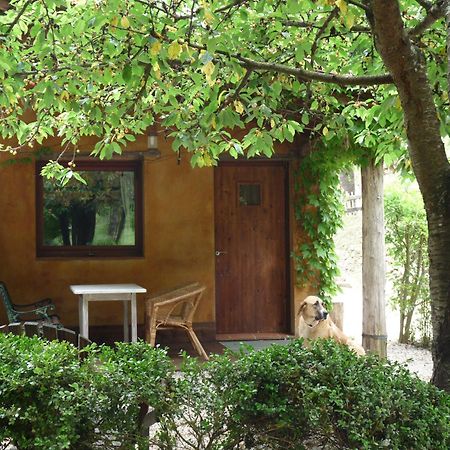 Masía El Moli de Can Aulet Casa de hóspedes Arbúcies Exterior foto