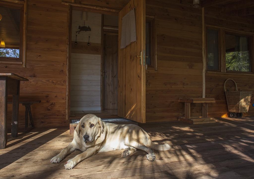 Masía El Moli de Can Aulet Casa de hóspedes Arbúcies Exterior foto