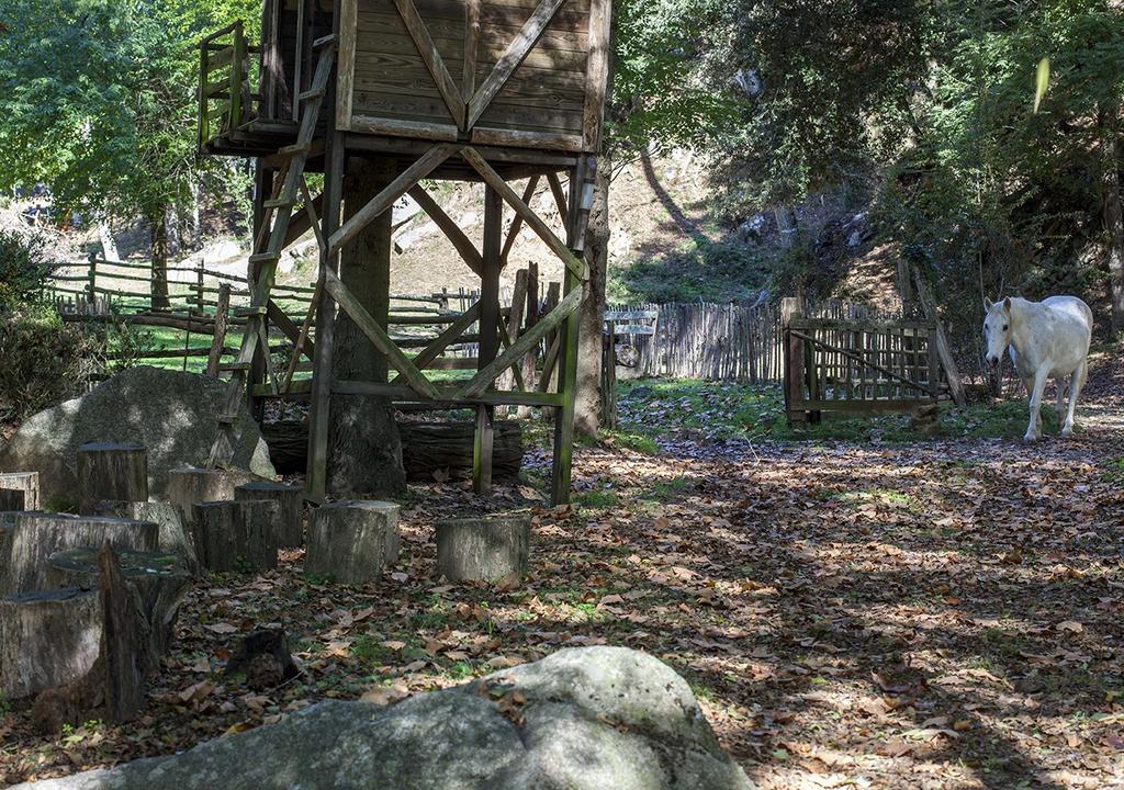 Masía El Moli de Can Aulet Casa de hóspedes Arbúcies Exterior foto