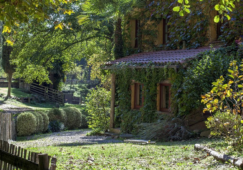 Masía El Moli de Can Aulet Casa de hóspedes Arbúcies Exterior foto